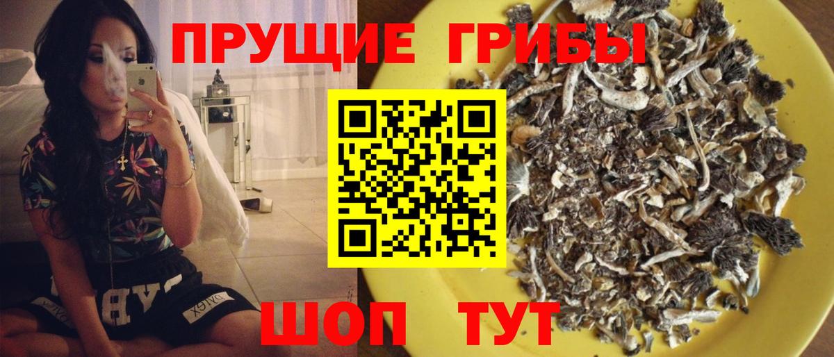 Галлюциногенные грибы MAGIC MUSHROOMS Феодосия
